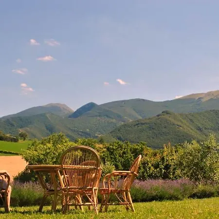 Farm Holiday Il Posto Delle Viole